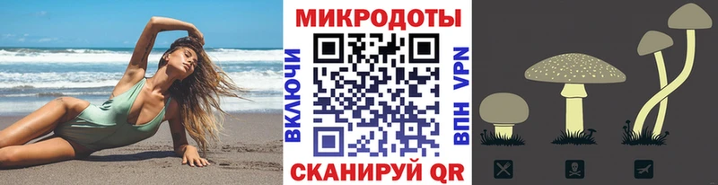 mega как зайти  Соль-Илецк  Псилоцибиновые грибы MAGIC MUSHROOMS 